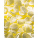 Particule de calage forme "CHIPS" STYROFILL Sac de 500 L (frais de port compris)