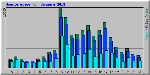 Hourly usage for January 2019