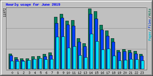 Hourly usage for June 2019