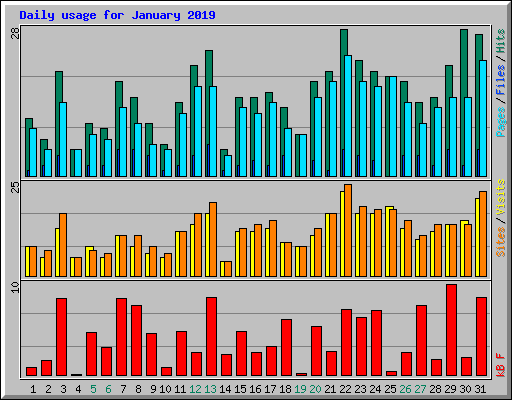 Daily usage for January 2019