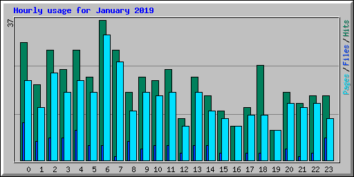 Hourly usage for January 2019