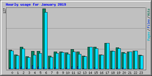 Hourly usage for January 2019