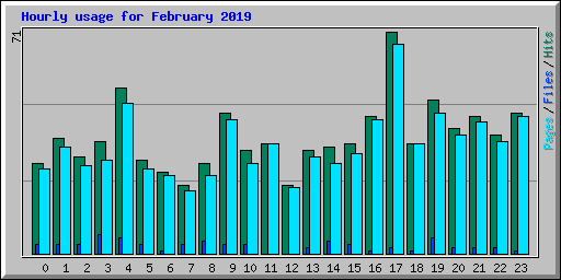 Hourly usage for February 2019