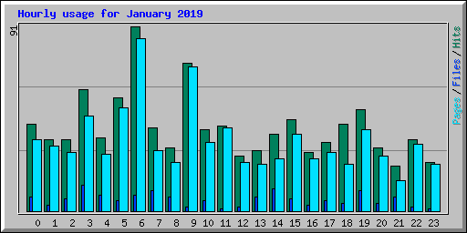 Hourly usage for January 2019