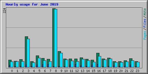 Hourly usage for June 2019
