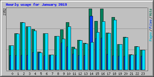 Hourly usage for January 2019